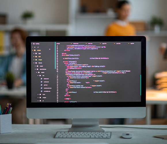 Custom Software Development Services